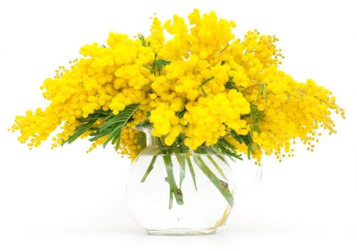 Création florale Coubon